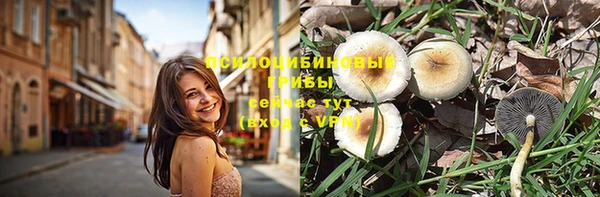 бутират Алексеевка