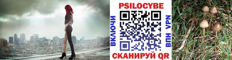 Галлюциногенные грибы ЛСД Олонец